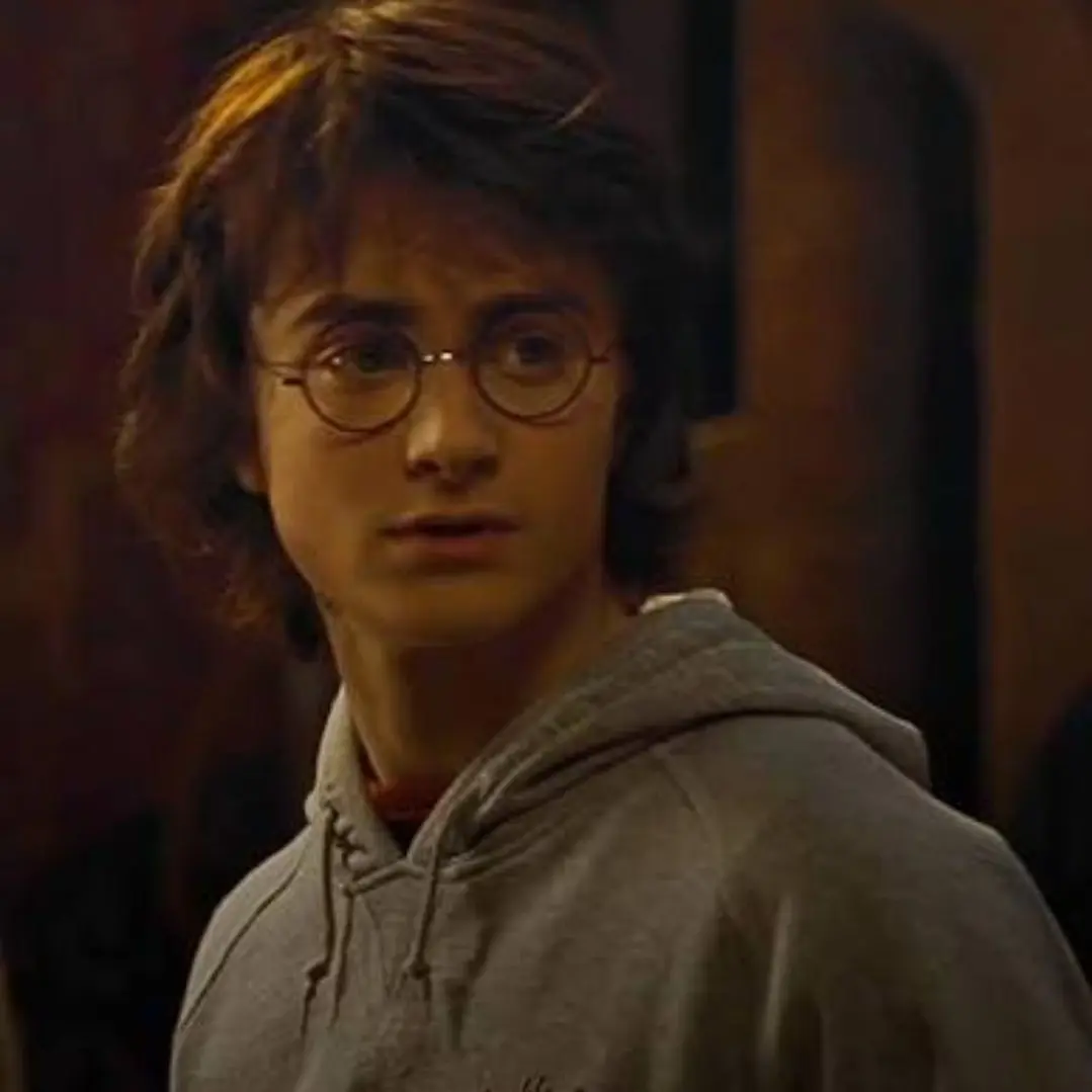 RuralKudu6359의 Harry Potter
