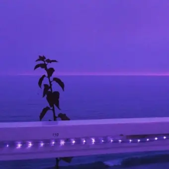 Profile image of 5학년 6반 단톡방