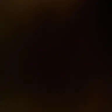 Profile image of 한동민