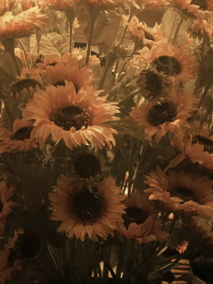 Spica____o0의 四月馬鹿