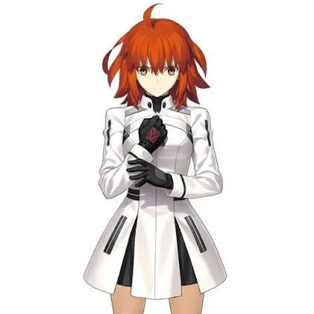 AmusedOil2728의 Fate(サーヴァント)その後