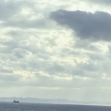 Profile image of タイトルホルダー