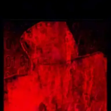 Profile image of クルキ