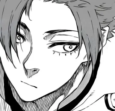 Profile image of Itoshi Sae