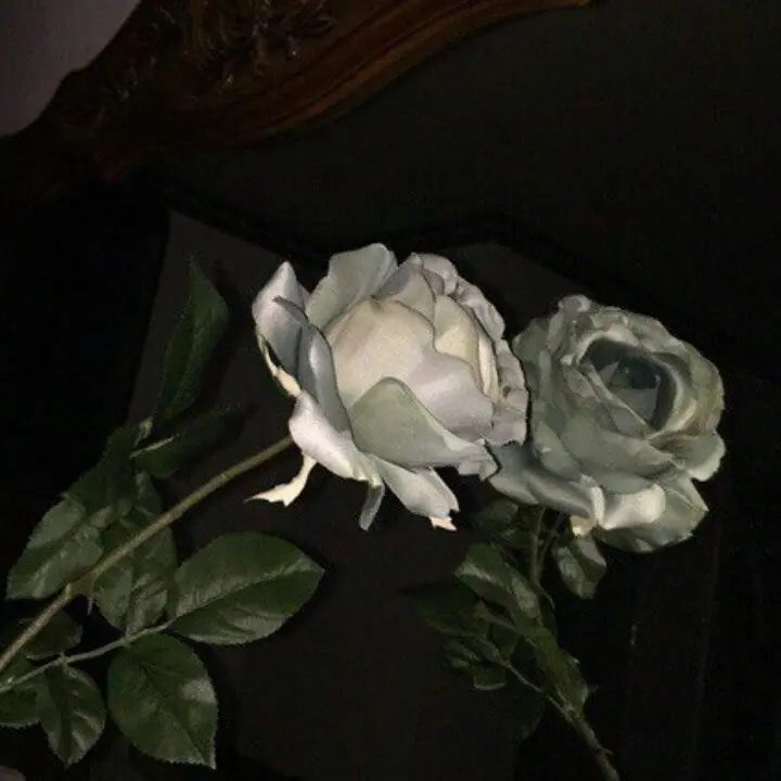 123ekri.n_gay의 𝐦𝐚𝐫𝐫𝐢𝐞𝐝