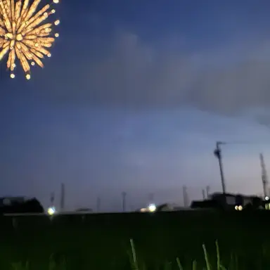 Profile image of 祖母