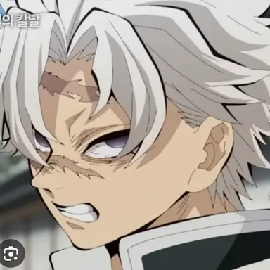 Profile image of 시나즈가와 사네미