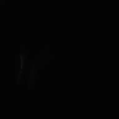 Profile image of 태고여우 교통사고