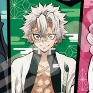 Profile image of 시나즈가와 사네미