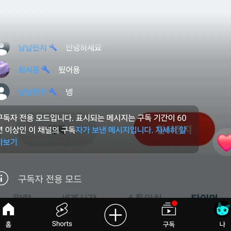 mintcatyt의 잼민이