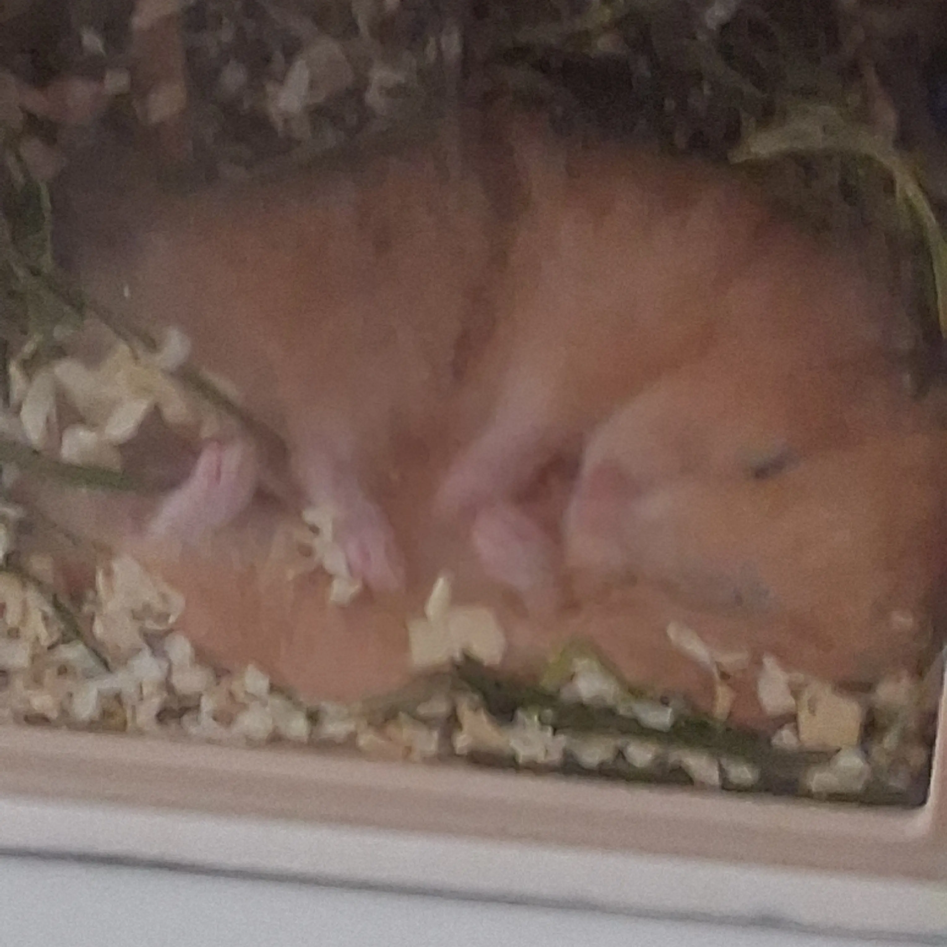 PoshBasil1009의 유저는 100만유튜버인데소멸과우결?!