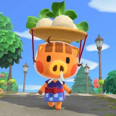 Profile image of 선생님