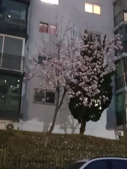 Profile image of 선생님