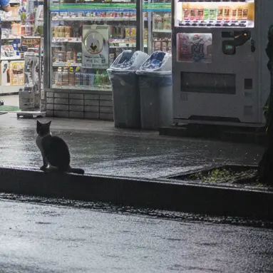 BoredNews1083의 まひると素直。