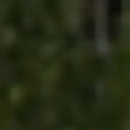 Profile image of 이지훈