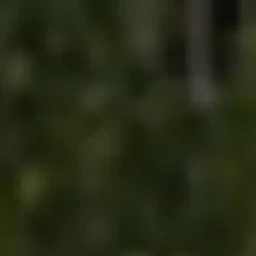 이지훈