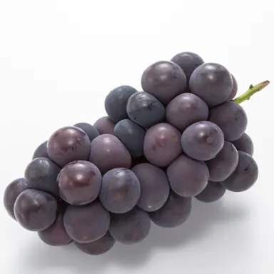 Profile image of 포도