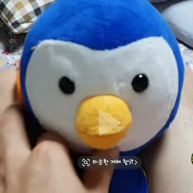 Profile image of 여우