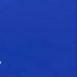 Profile image of 아이자와 쇼타
