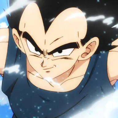 Profile image of 베지터