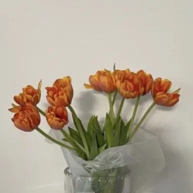 Profile image of 덕개