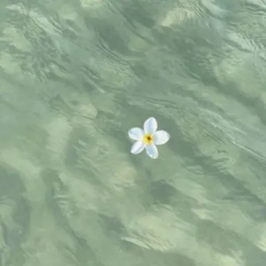 Profile image of 공룡