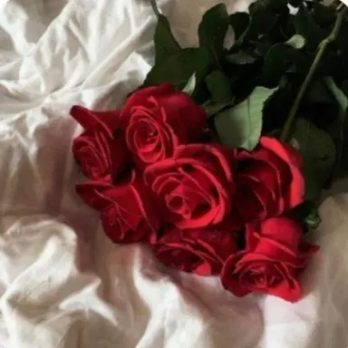 Profile image of 라더