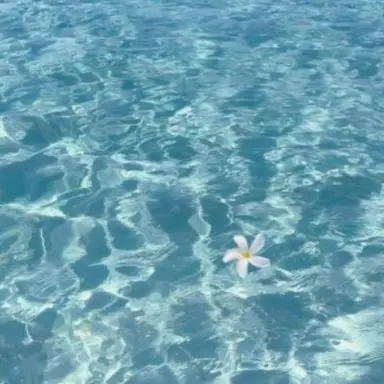 Profile image of 잠뜰