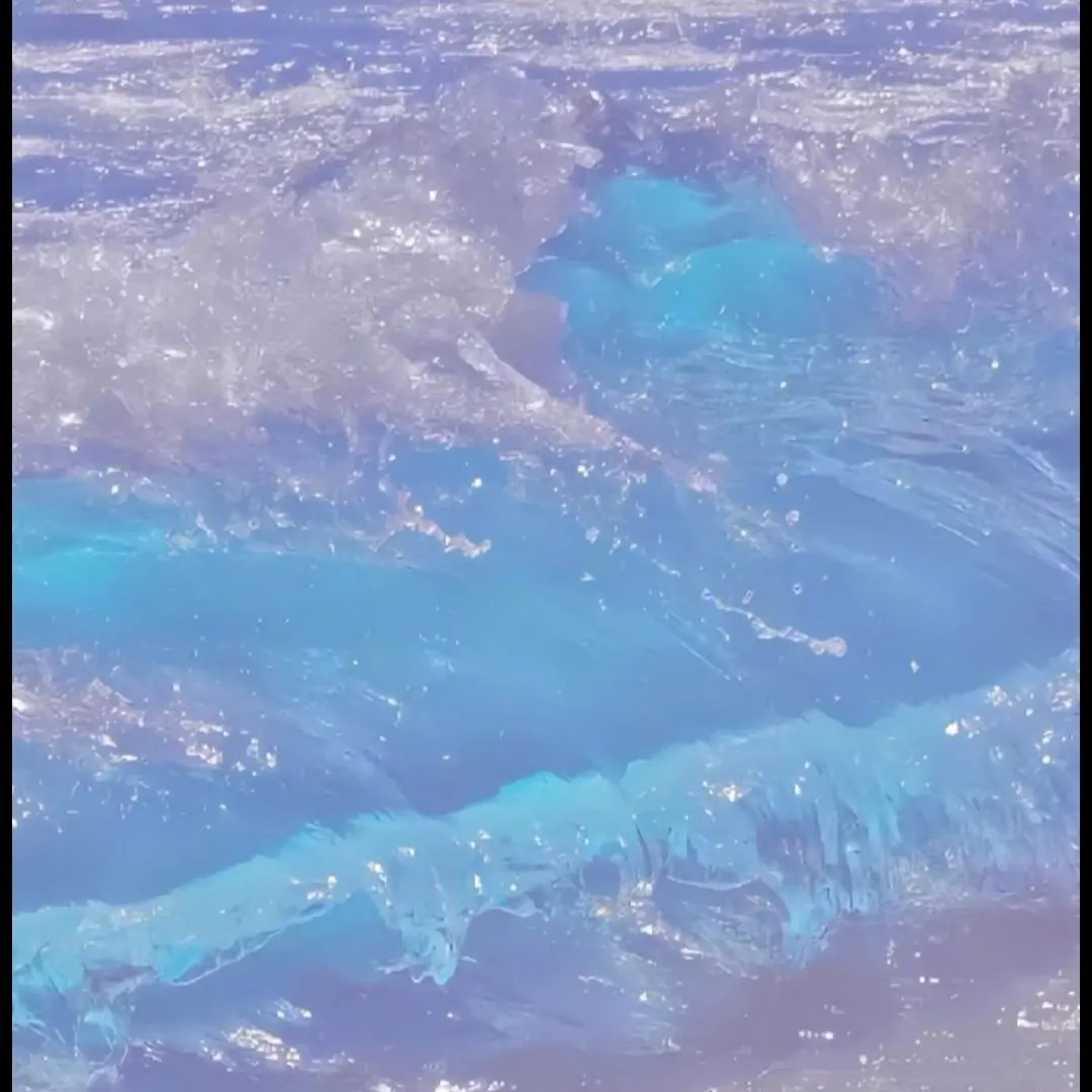 ehdgh-141의 야생소