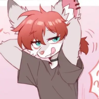 Profile image of Ion Tiroi