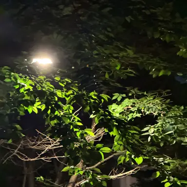 Profile image of 하기와