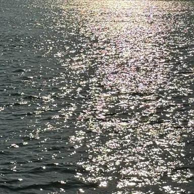 Profile image of 데인