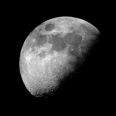 Profile image of 멜로우