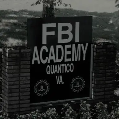 Profile image of The Naturals