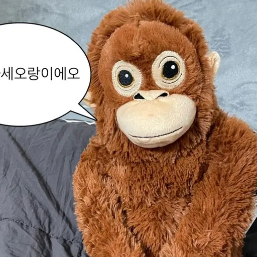 RaalDo0531의 오랑이
