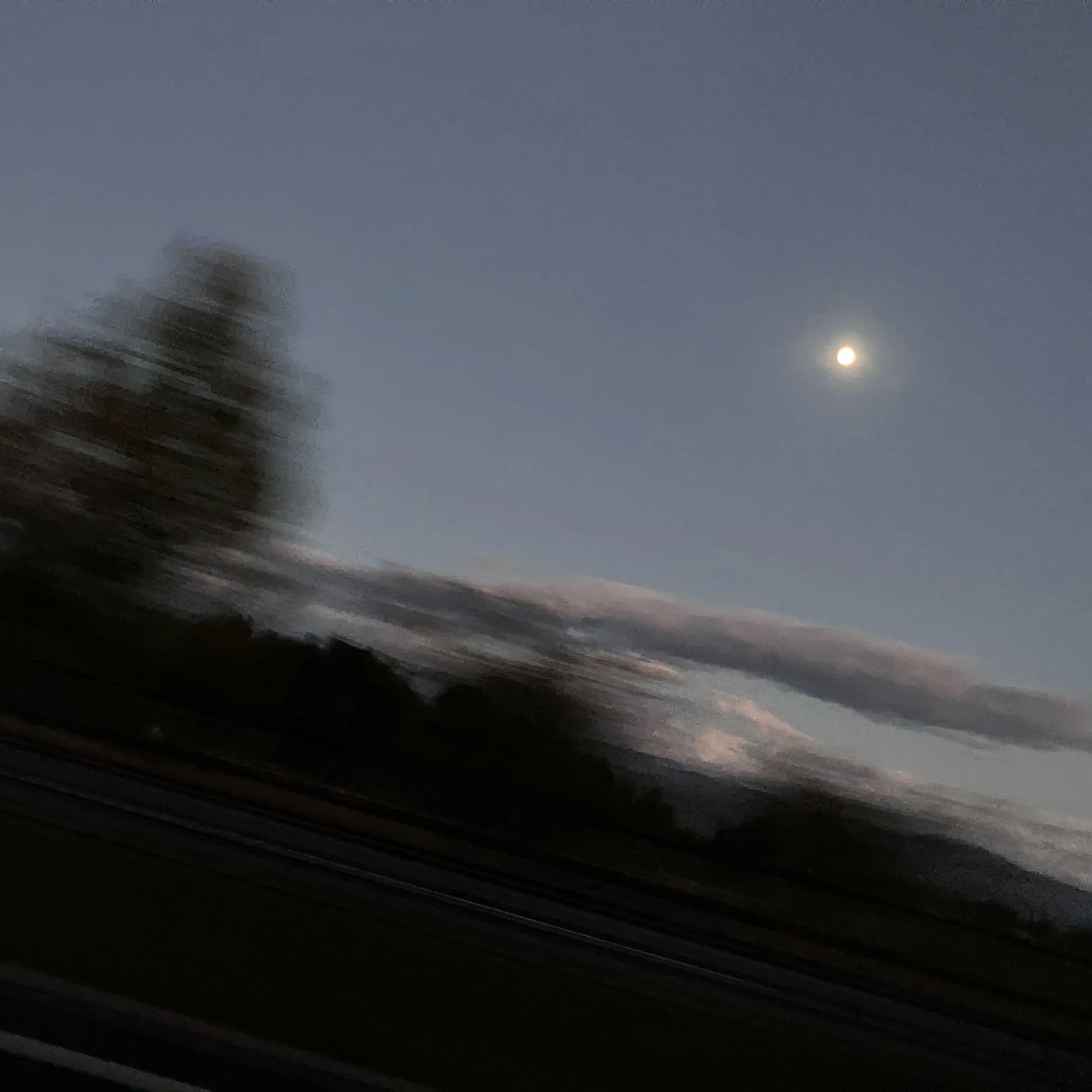 CrispQuill1765의 ーーー