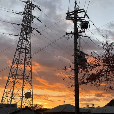 Profile image of 山崎 優香