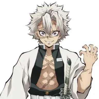 Profile image of 시나즈가와 사네미