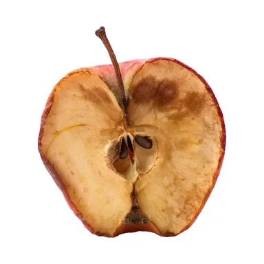 Profile image of 노아