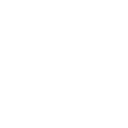 Profile image of ナチス