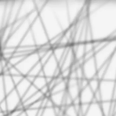 Profile image of テト