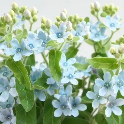 ScaredOpah5917의 미친짓이야 정말...