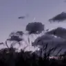 Profile image of 雲雀