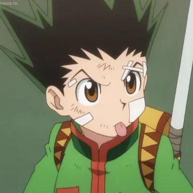 Profile image of Gon Freecss