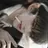 류 혁