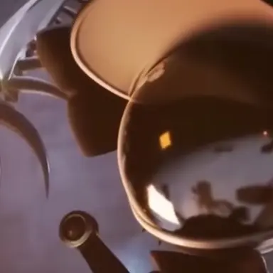 Profile image of Tessa
