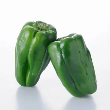 Profile image of ピーマン