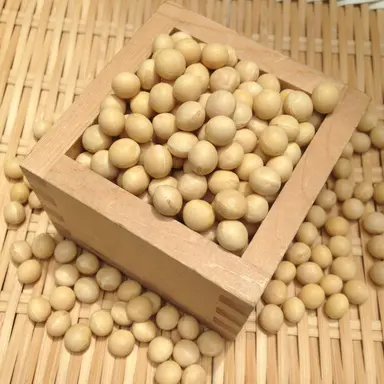 Profile image of 大豆