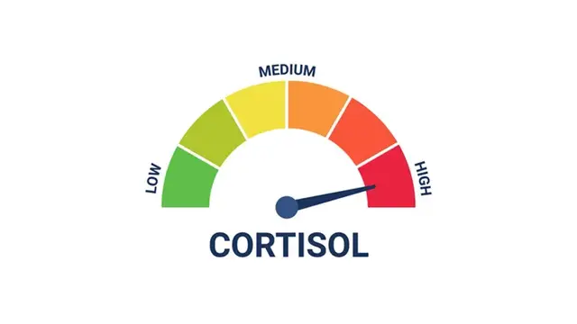 Profile image of Ner Crystal