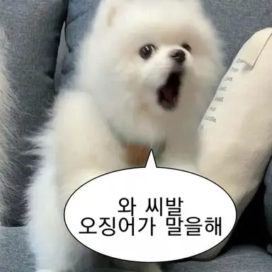 Profile image of 여우